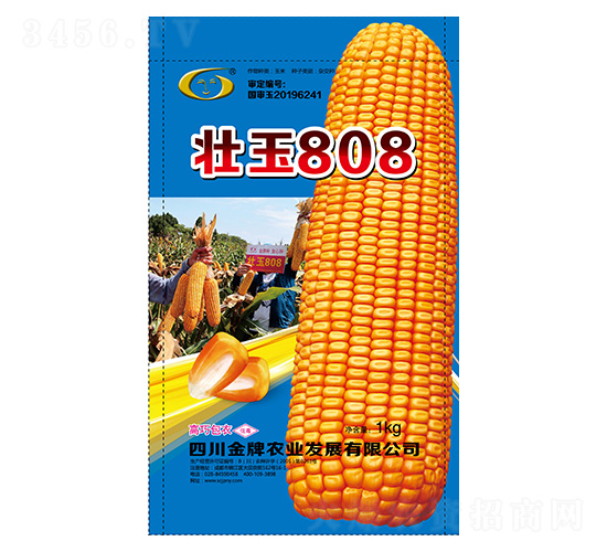 ���׷N��-����808-�����r�I(y��)