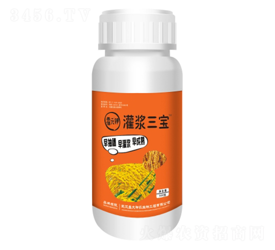 ���{����-��Ԫ�-ʢ������