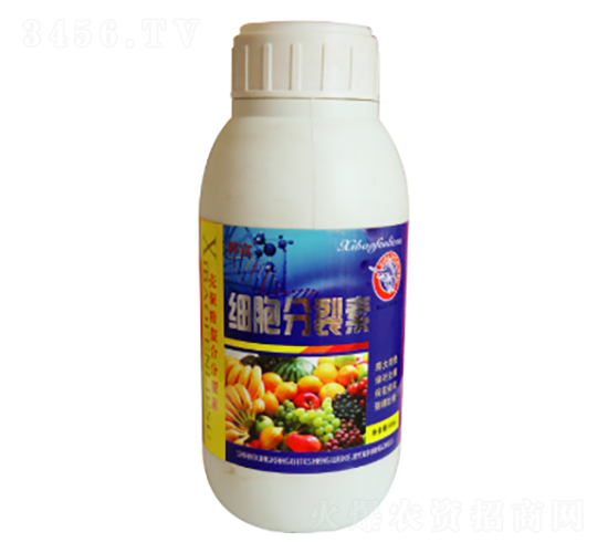 ��(x��)��������-������