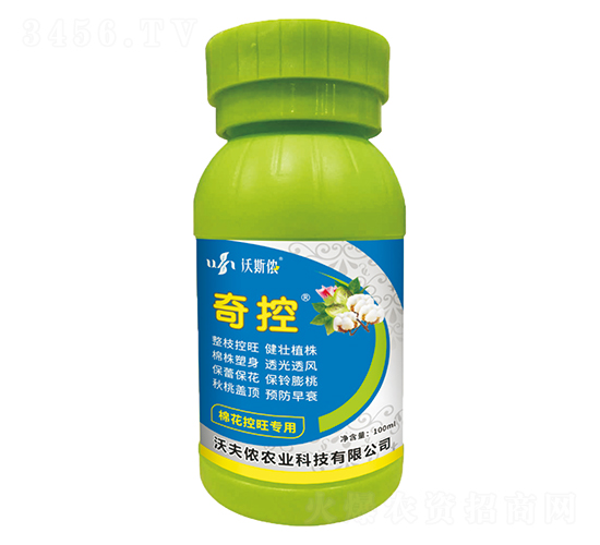 �޻���������-���-�ַ�z