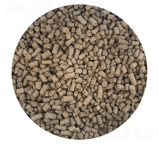 �w���������-ϲ��������