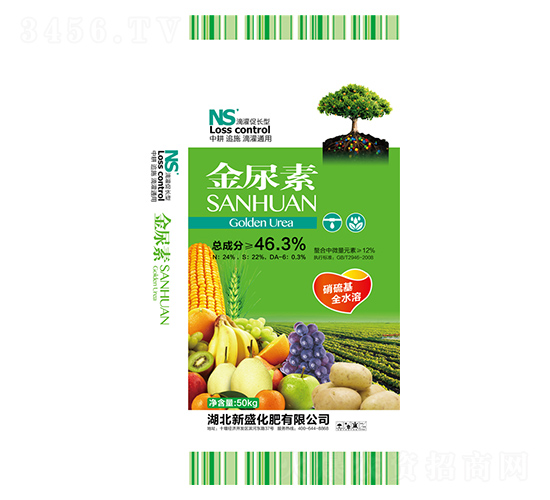 46.3%������-��ʢ����