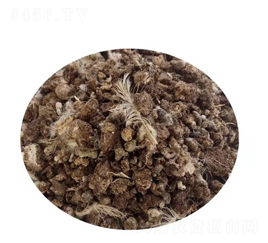 �����u�S-�؝��ЙC(j��)��