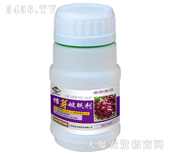 ��ѿ���߄�-����(l��)�S�r(n��ng)-��(qi��ng)�r(n��ng)����