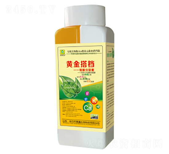 ����������-�S���n-��������