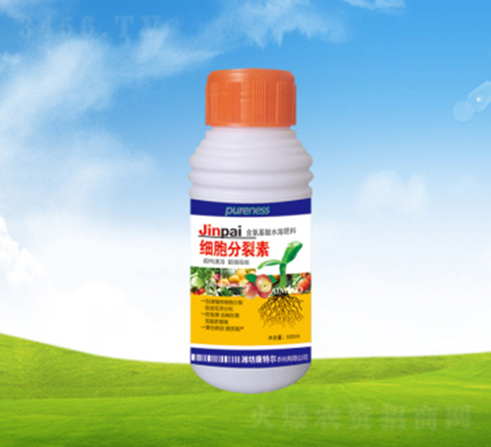 ��(x��)��������-���ؠ��r(n��ng)��