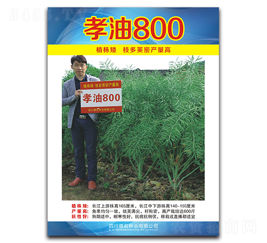 Т��800-�Ͳ˷N��-�����N�I(y��)