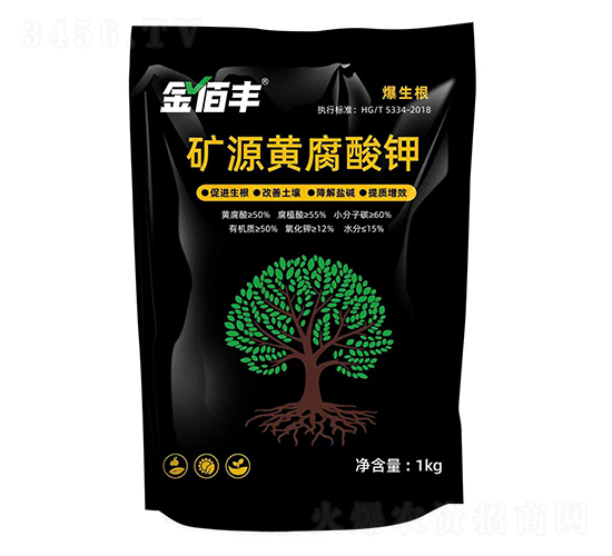 �VԴ�S�����-����S-�ذ�����