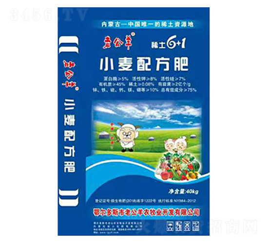 С���䷽��-�Ϲ���-����