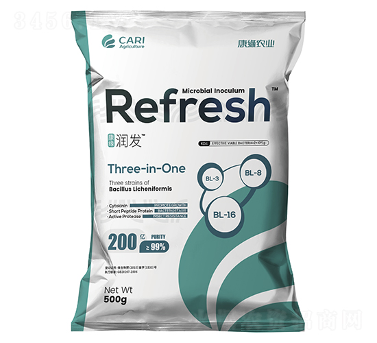 �������l(f��)΢�������-��������