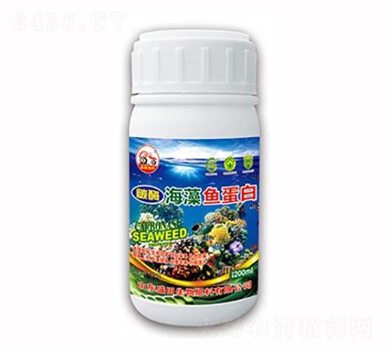 �����~����-ʢ������