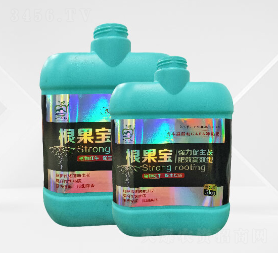 ������-�ٴ�