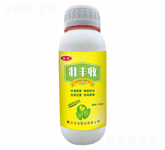 ���S��-ҫѸ�w�r�I(y��)