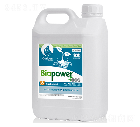 ����̼���-�ۏ���-�����m��