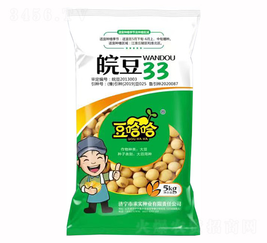 �33-������-�󌍷N�I(y��)