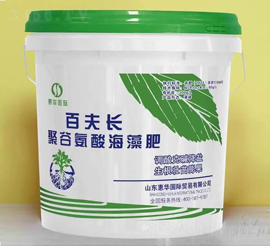 �۹Ȱ��ả���-�ٷ��L-���A���H