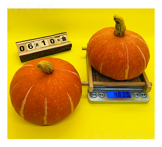 �t��ؐ�Ϲ�-�ϹϷN��-�V��