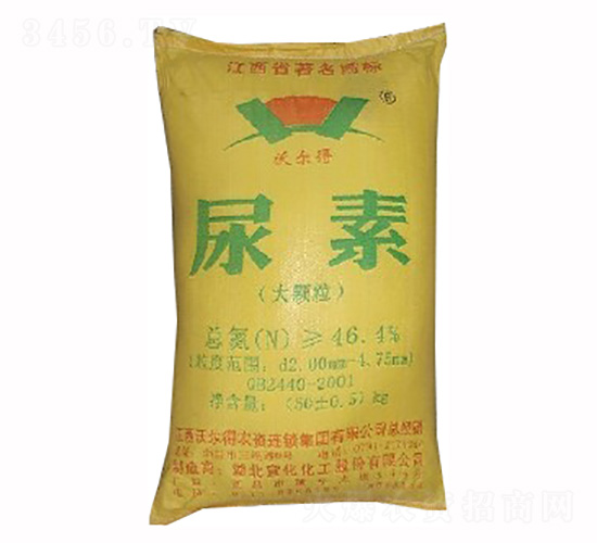 ���w������-�֠���