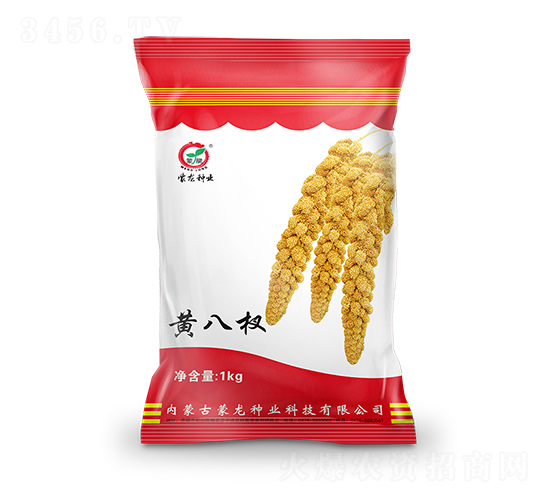 �S���-���ӷN��-�����N�I(y��)