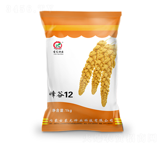 ���12-���ӷN��-�����N�I(y��)