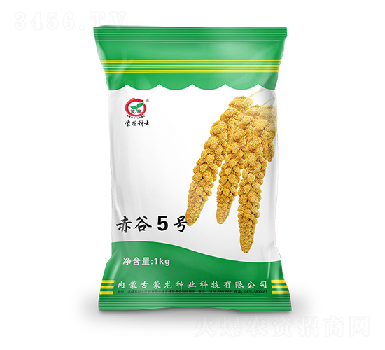 ���5̖-���ӷN��-�����N�I(y��)