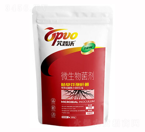 �ݲ�ѿ�ߗU��-�I(y��)�r(n��ng)