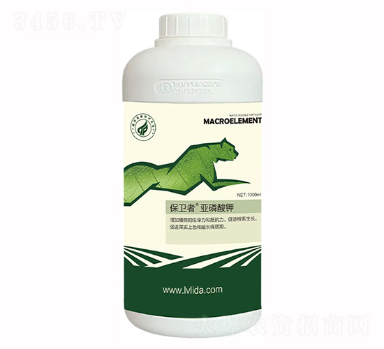 �������-���}���l(w��i)��-�G���_(d��)