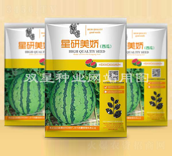 ��������-���ϷN��-�p�ǷN�I(y��)