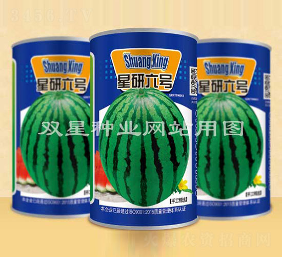 ������̖-���ϷN��-�p�ǷN�I(y��)