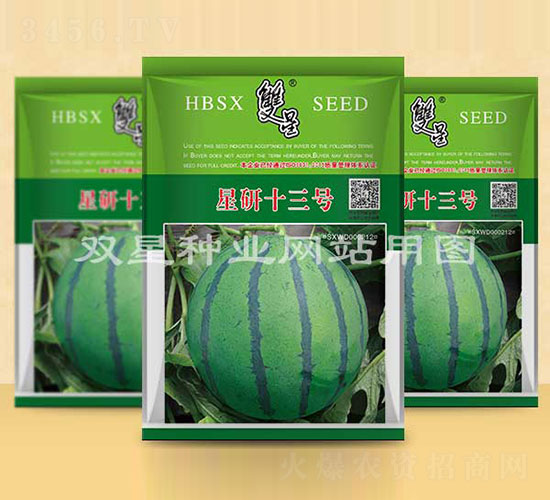 ����ʮ��̖-���ϷN��-�p�ǷN�I(y��)