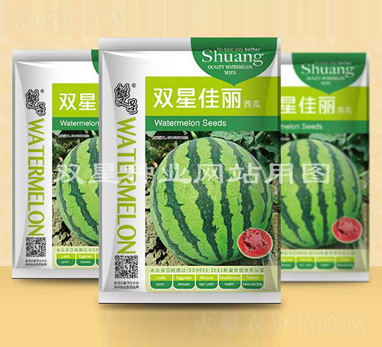 �p�Ǽ���-���ϷN��-�p�ǷN�I(y��)