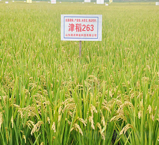 ��263-ˮ���N��-�Ǻ���(r��n)�r(n��ng)