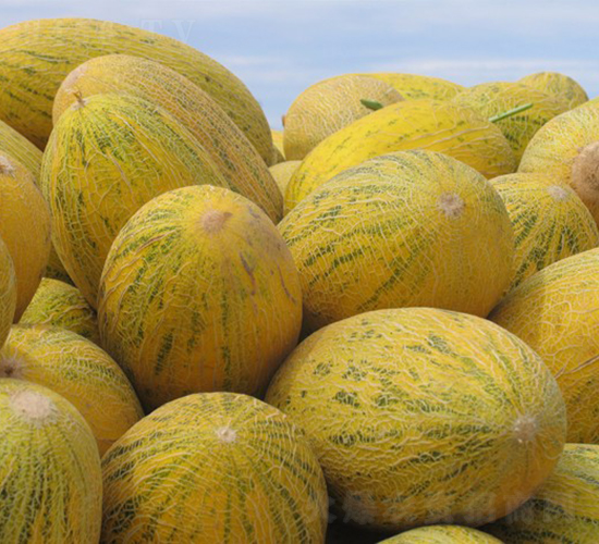 ����-��ϷN��-�A���N��