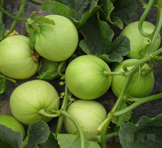 �G��-��ϷN��-�A���N��