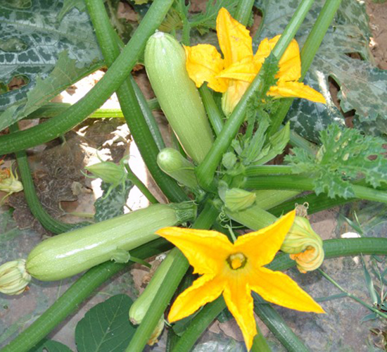 ����-�����J�N��-�A���N��