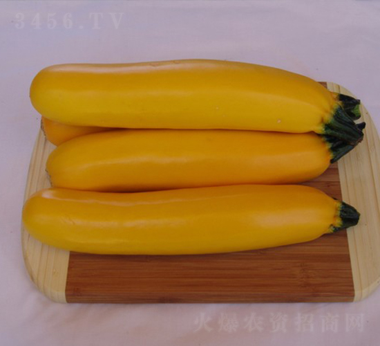 ������-�����J�N��-�A���N��