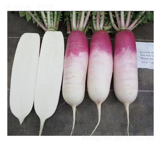 �|���}��-�}���N��-�V��