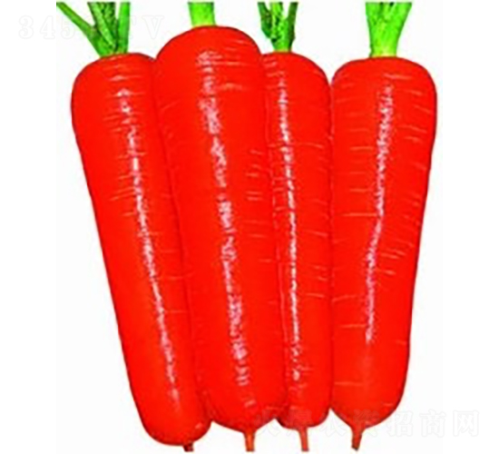 ������3̖�s���ߴ���}��-���}���N��-�V��