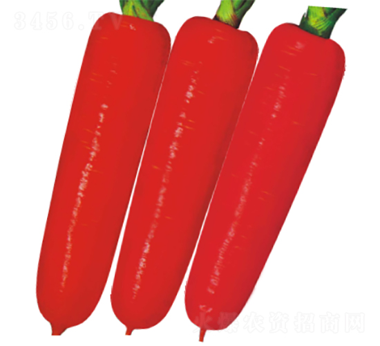 F1����1̖(h��o)���}��-���}���N��-�V��