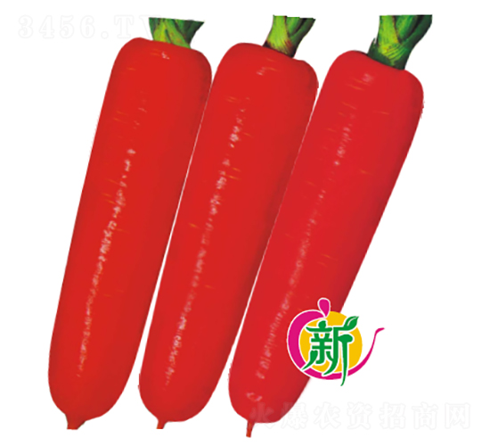 F1�ʺ���}��-���}���N��-�V��