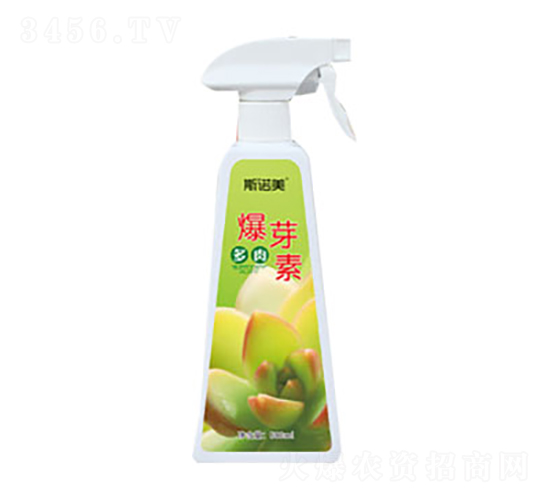 ���ⱬѿ��-�r(n��ng)������