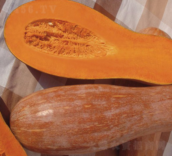 ����۱�-�ϹϷN��-�A���N��