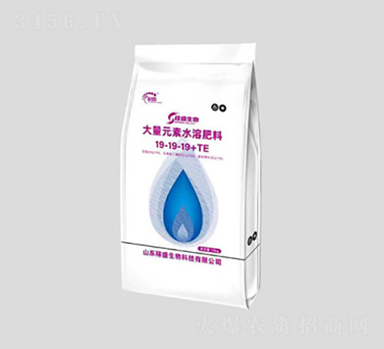 ����Ԫ��ˮ�ܷ���19-19-19+TE-��ʢ����