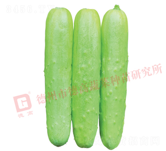 �¸ߚW���S��-�S�ϷN��-�¸߷N�I(y��)