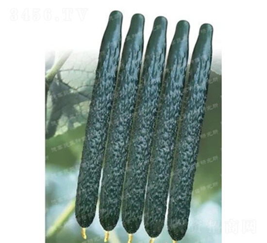 �¸�C57�S��-�S�ϷN��-�¸߷N�I(y��)