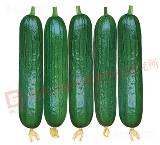 �¸ߚW�����S��-�S�ϷN��-�¸߷N�I(y��)