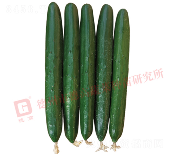 �¸��A��6̖(h��o)�S��-�S�ϷN��-�¸߷N�I(y��)