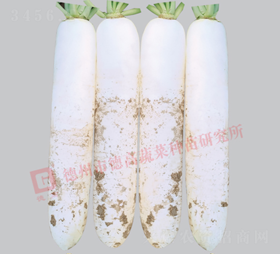 ���}��-�¸�R192-�}���N��-�¸߷N�I(y��)