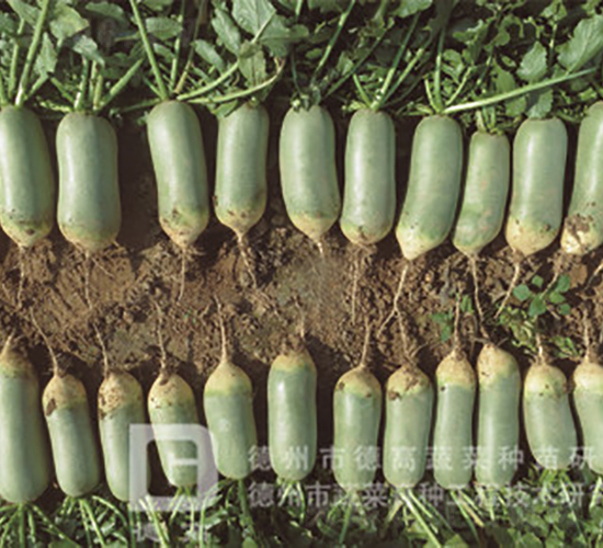 ˮ���}��-����-�}���N��-�¸߷N�I(y��)