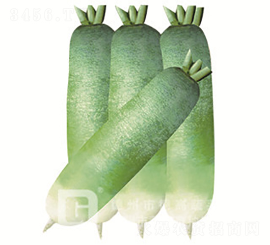 ˮ���}��-�¸���-�}���N��-�¸߷N�I(y��)